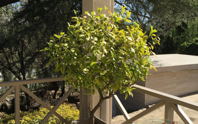 Peaches & Cream Bed & Breakfast