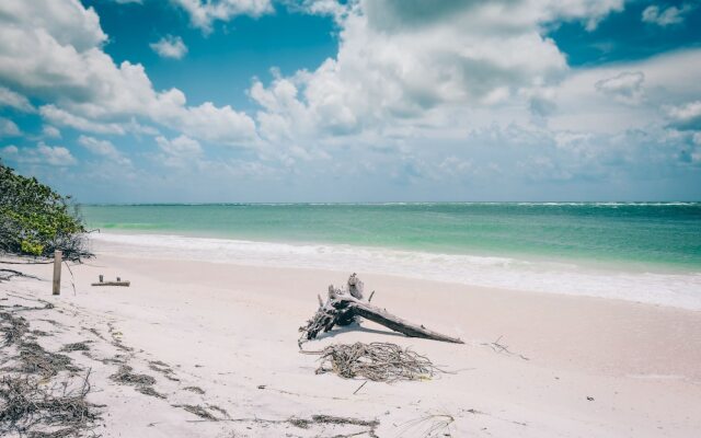 Lido Key Retreat by SKLRP