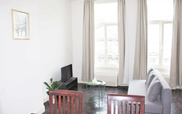 Traditional Modern Apartments
