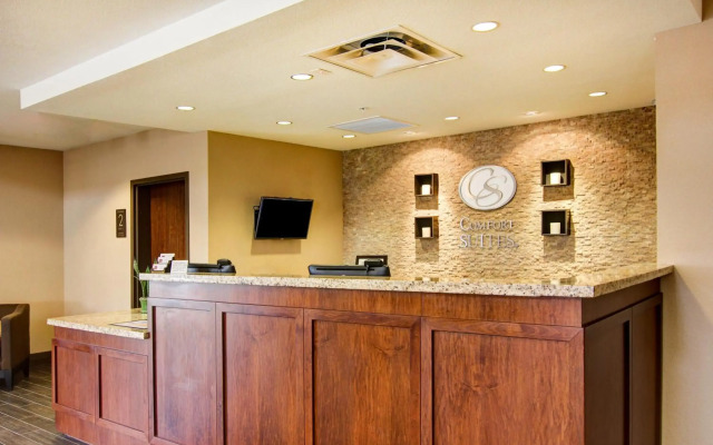Comfort Suites Carlsbad