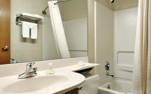 Microtel Inn by Wyndham Victor/Rochester