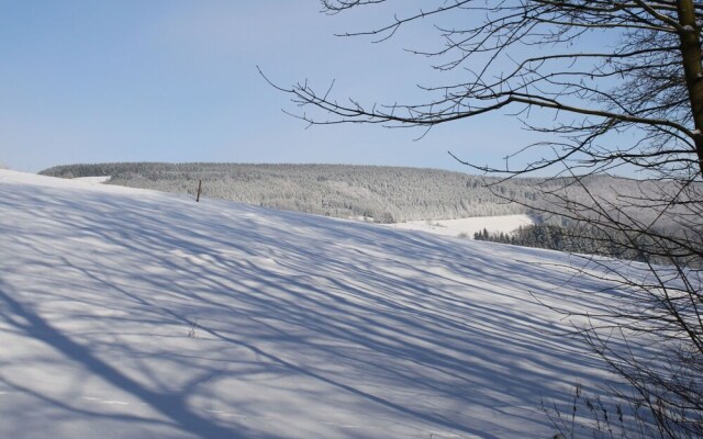 Modern Holiday Apartment Between Willingen And Winterberg with Private Terrace