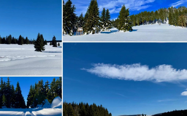 Apartmán SKI Plešivec