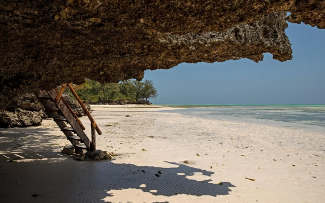 The Island - Pongwe Lodge - Adults Only