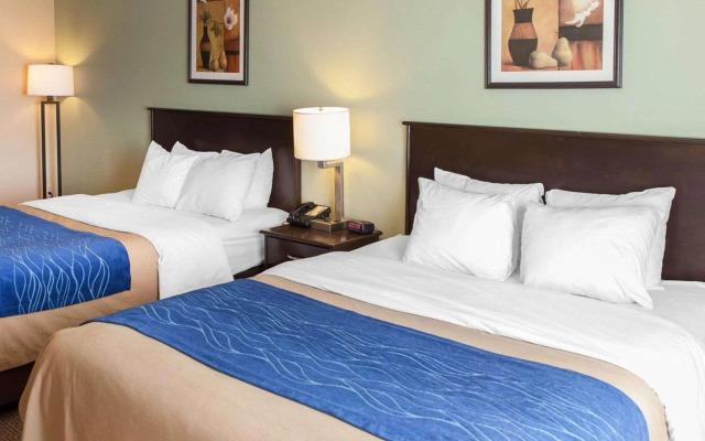 Comfort Inn Near Quantico Main Gate North