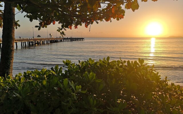Amokura By The Coral Sea