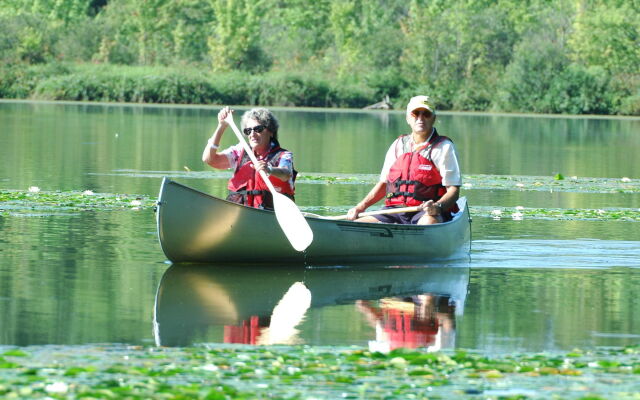 Forest Motel & Woodland Retreat