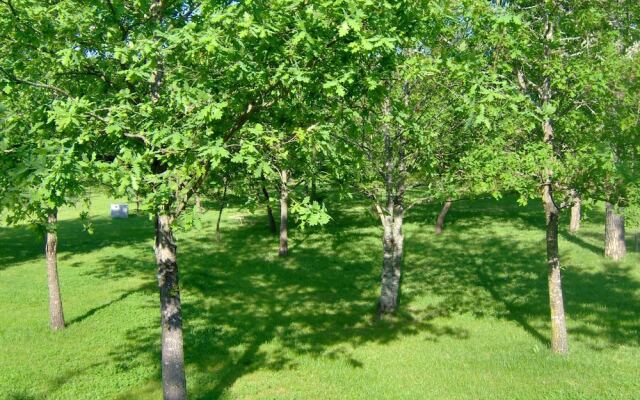 Room-paradise is Real at Vale Martinho R