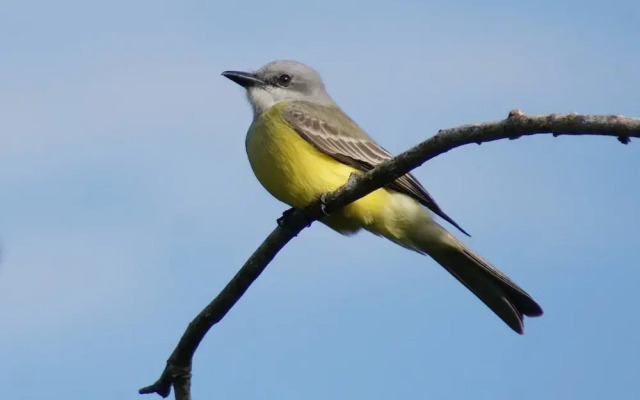 Mini Pini Birdwatching and Cenote Loft4 you Only