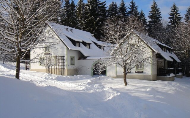 Beautiful Holiday Home in Litschau With Swimming Pool