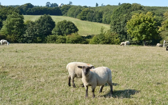 The Byre