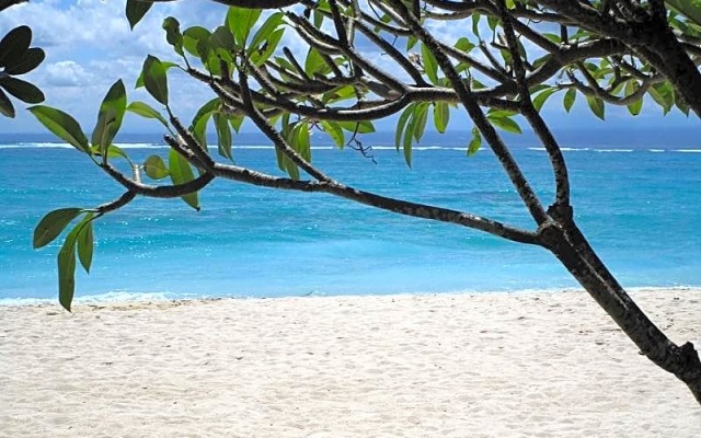 Yogi Beach Bungalow & Restaurant Lembongan