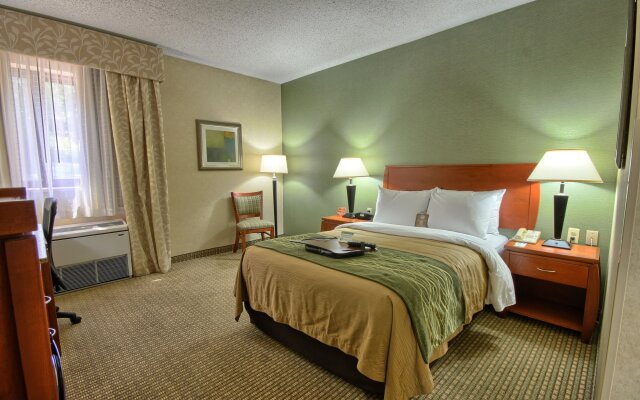 Comfort Inn Near Greenfield Village