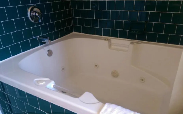 Holland Inn & Suites