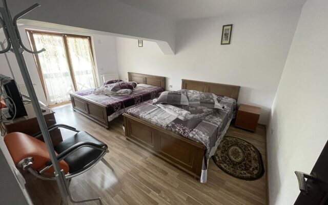 Beautiful 2-bed Apartment in Gura Humorului