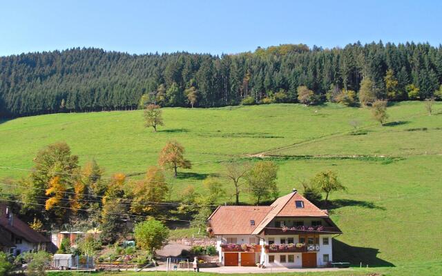 Comfy Apartment in Salmensbach near River