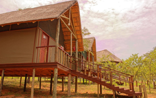 Lion Roars Lodge