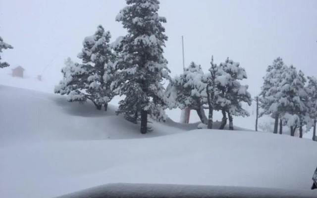 Studio Arette, 1 pièce, 4 personnes - FR-1-602-96