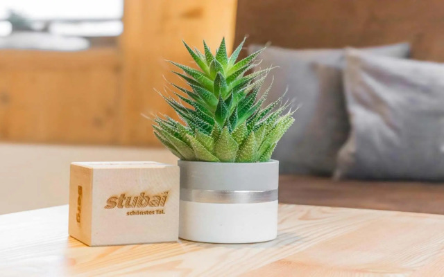 StuWip alps Appartement Sonnenstein