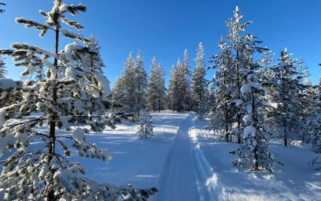 Lapiosalmi Wilderness Center