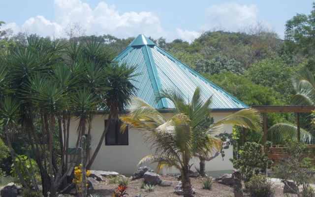 Gumbo Limbo Jungle Resort