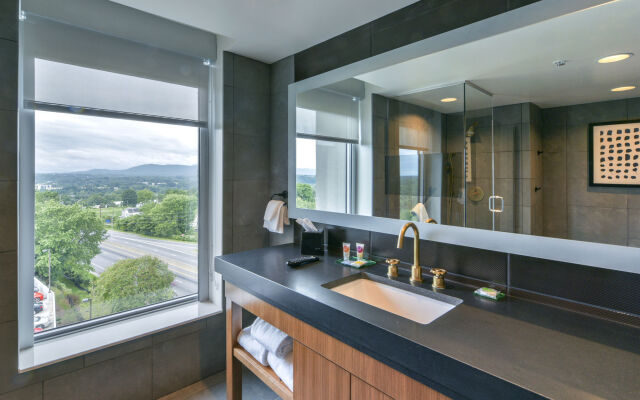 DoubleTree by Hilton Asheville Downtown