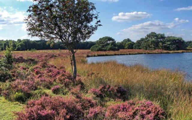 Drentse bungalow in natuur en rust