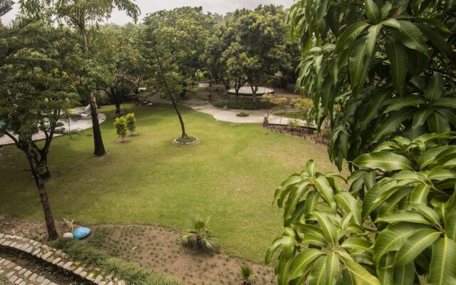 Treebo Aroma park
