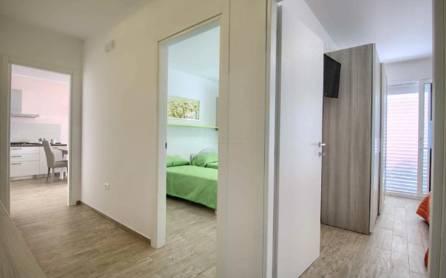 Apt Aurora Ristola