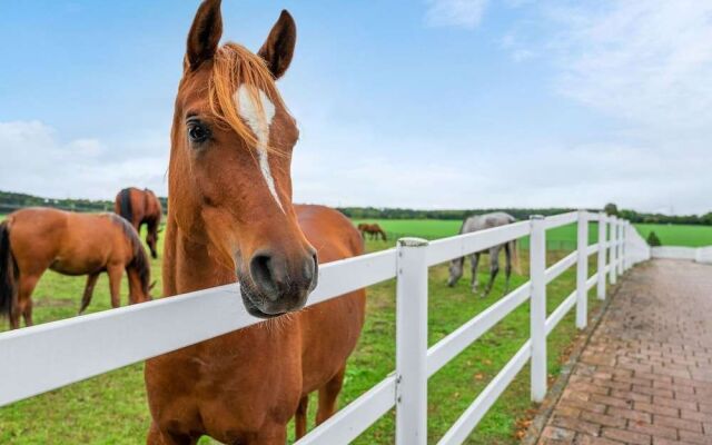 Apartment in Baden-wurttemberg