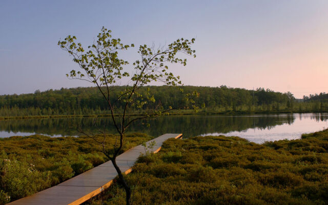 The Lodge at Woodloch