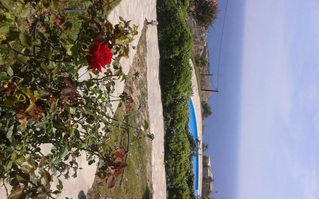 Pegasus Resort
