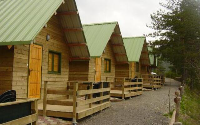 Camping Vall de Ribes