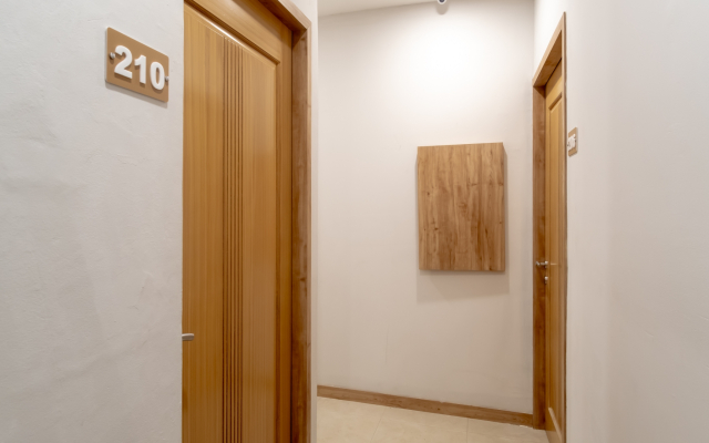 OYO 3159 Festive Inn