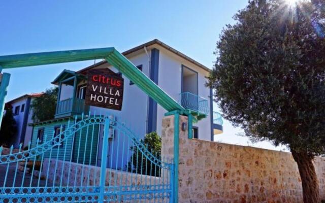 Citrus Hotel and Villa