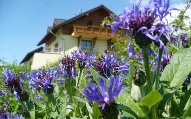 Privat Iva Smokovec