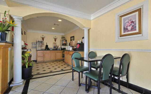 Hotel McCoy - Art, Libations, Pool Society