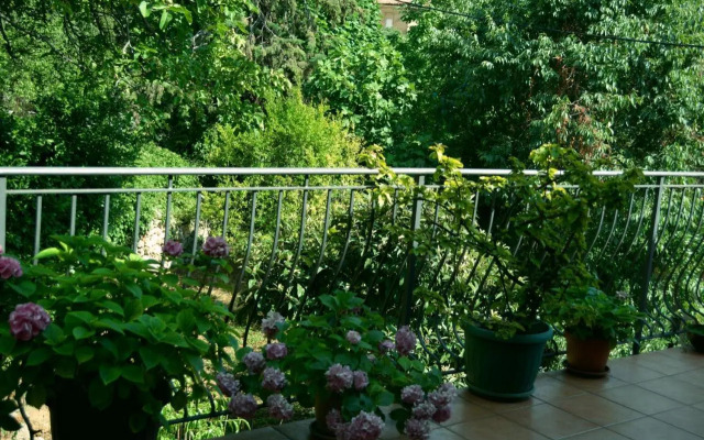 Casa del Padre - Mirabelle