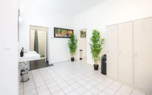 Robin Wood Apartment