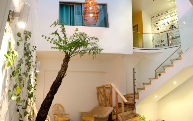 Collection O Casa Anzures Thematic, Mexico City
