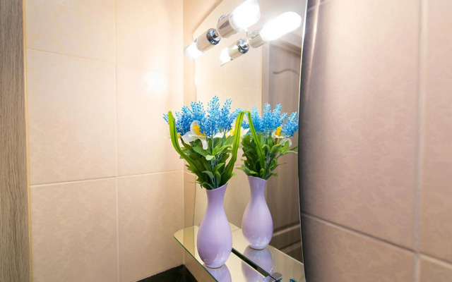 VIP Apartment on Novomestenskaya