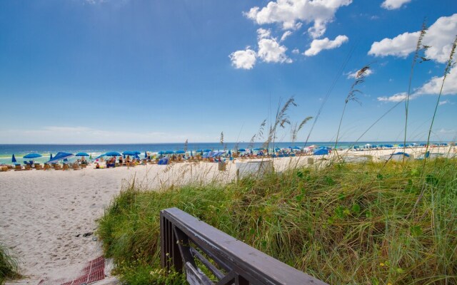 Shores of Panama 1431