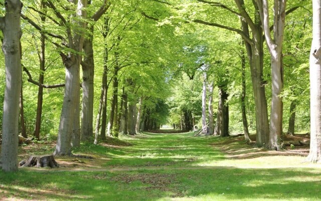 Kapmeeuw 2person Studio in Egmond aan Zee