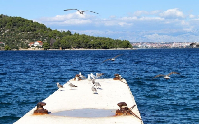 Nada - 100 m From Beach - A2 Desni