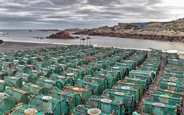 Os Faros Pisos Turísticos