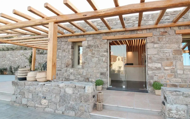 Mykonos Cactus