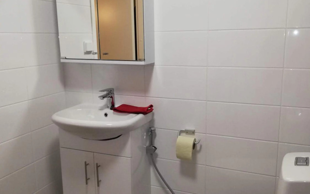 Arctic Aurora Luxury