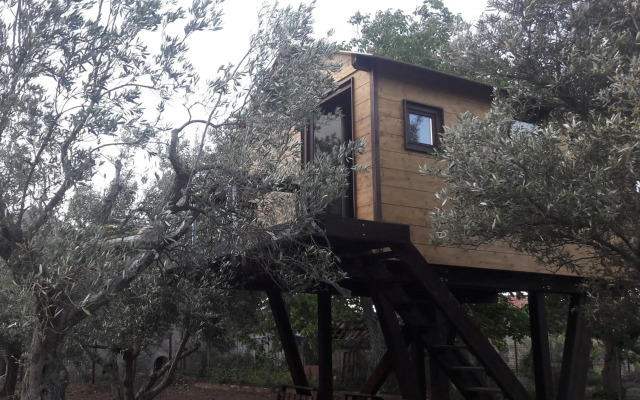 Palazzo Conforti Tree House Resort