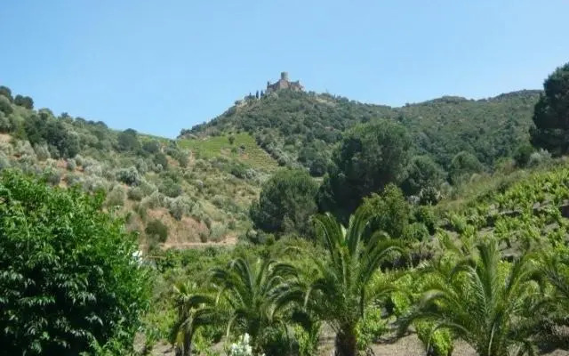 Appartement Le Port d Avall - 6PA65