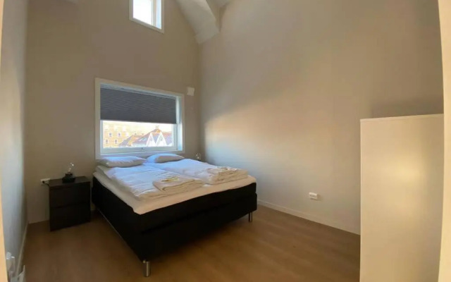 Unique and Spacious Apt close to City Centre